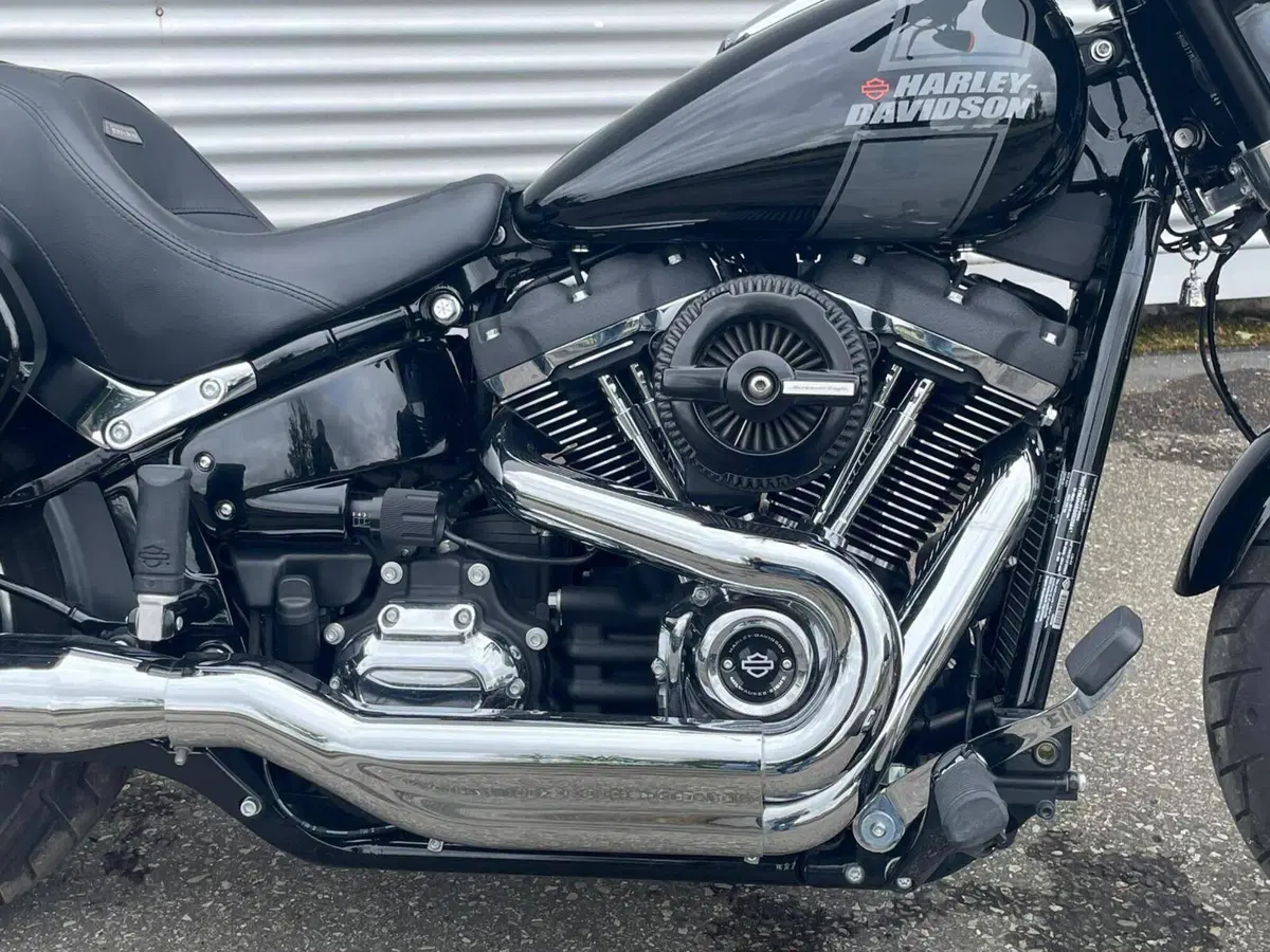Harley-Davidson Sport Glide (2021 - 25) (6)
