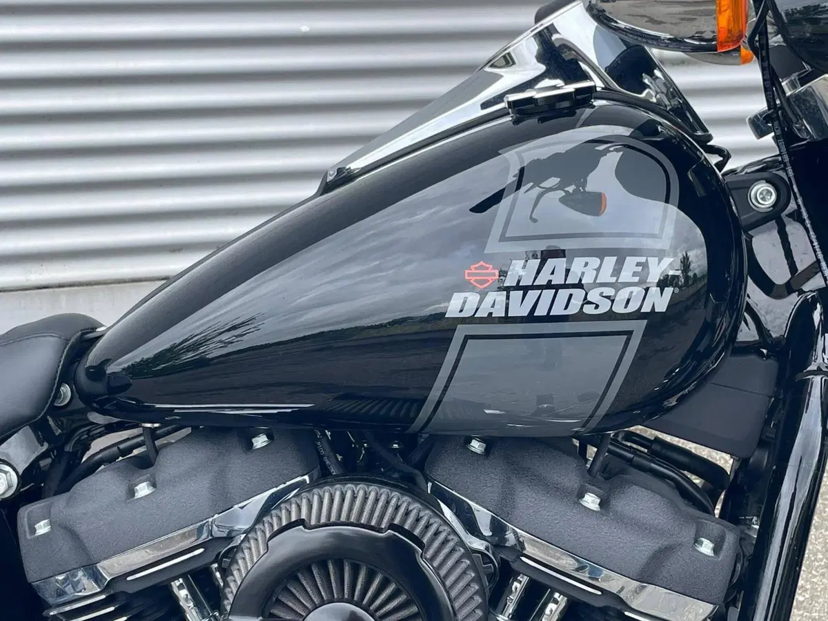 Harley-Davidson Sport Glide (2021 - 25) (7)