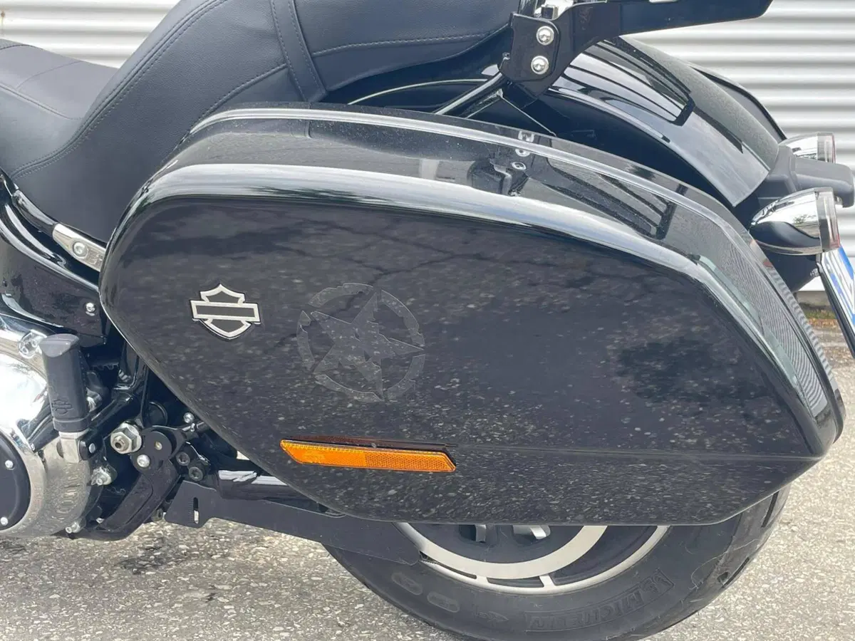Harley-Davidson Sport Glide (2021 - 25) (13)