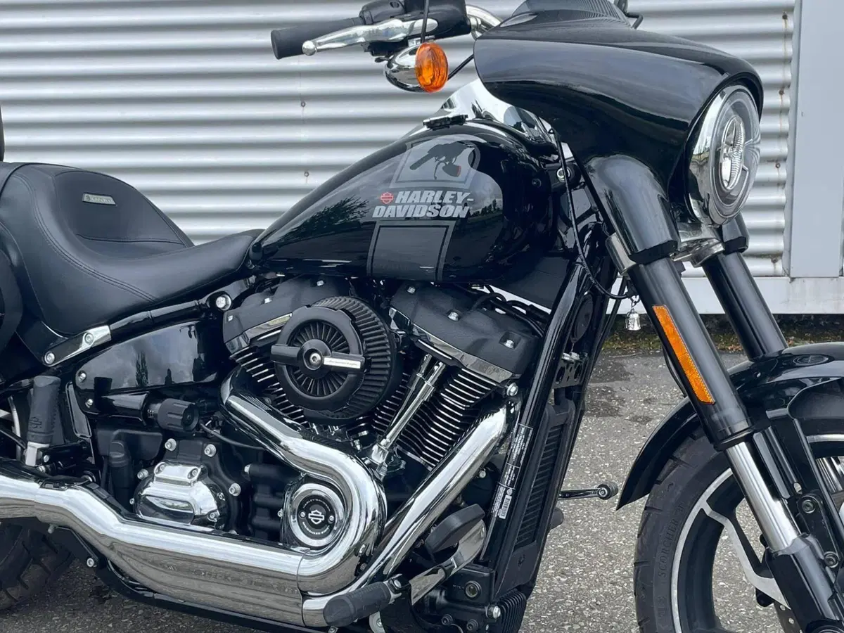 Harley-Davidson Sport Glide (2021 - 25) (4)