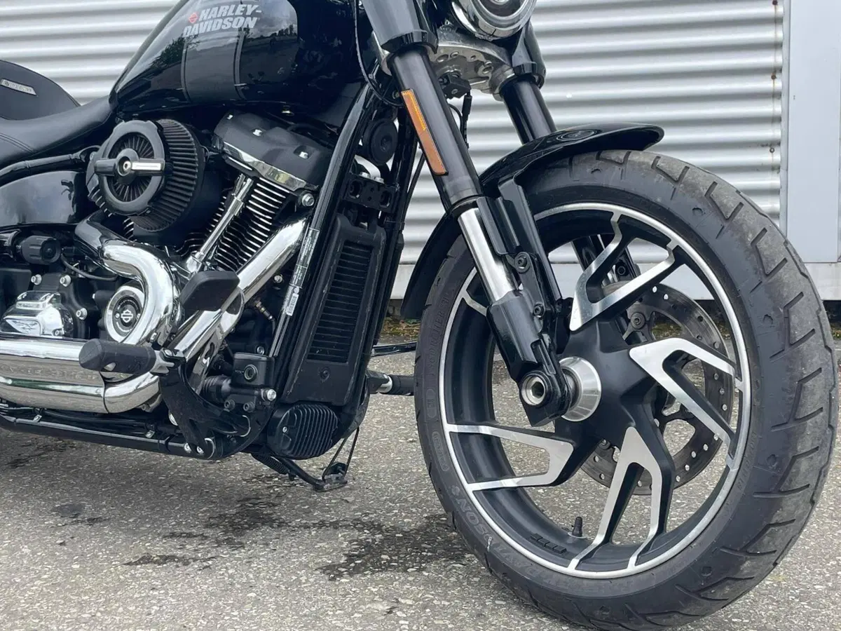 Harley-Davidson Sport Glide (2021 - 25) (3)