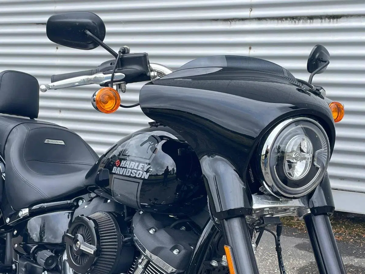 Harley-Davidson Sport Glide (2021 - 25) (5)
