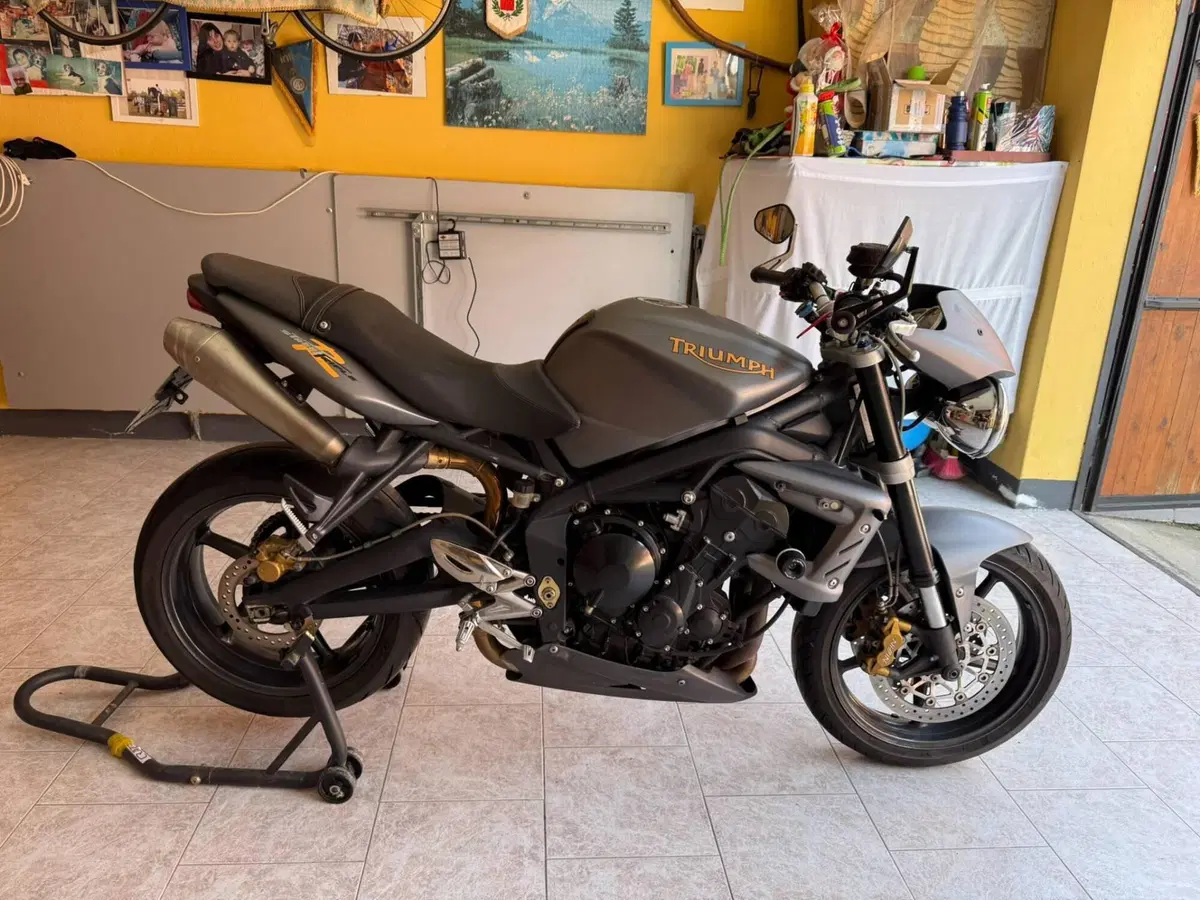 Triumph Street Triple R (2009 - 12) (6)
