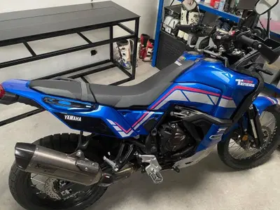 Yamaha T&eacute;n&eacute;r&eacute; 700 World Rally (2023 - 25) usata