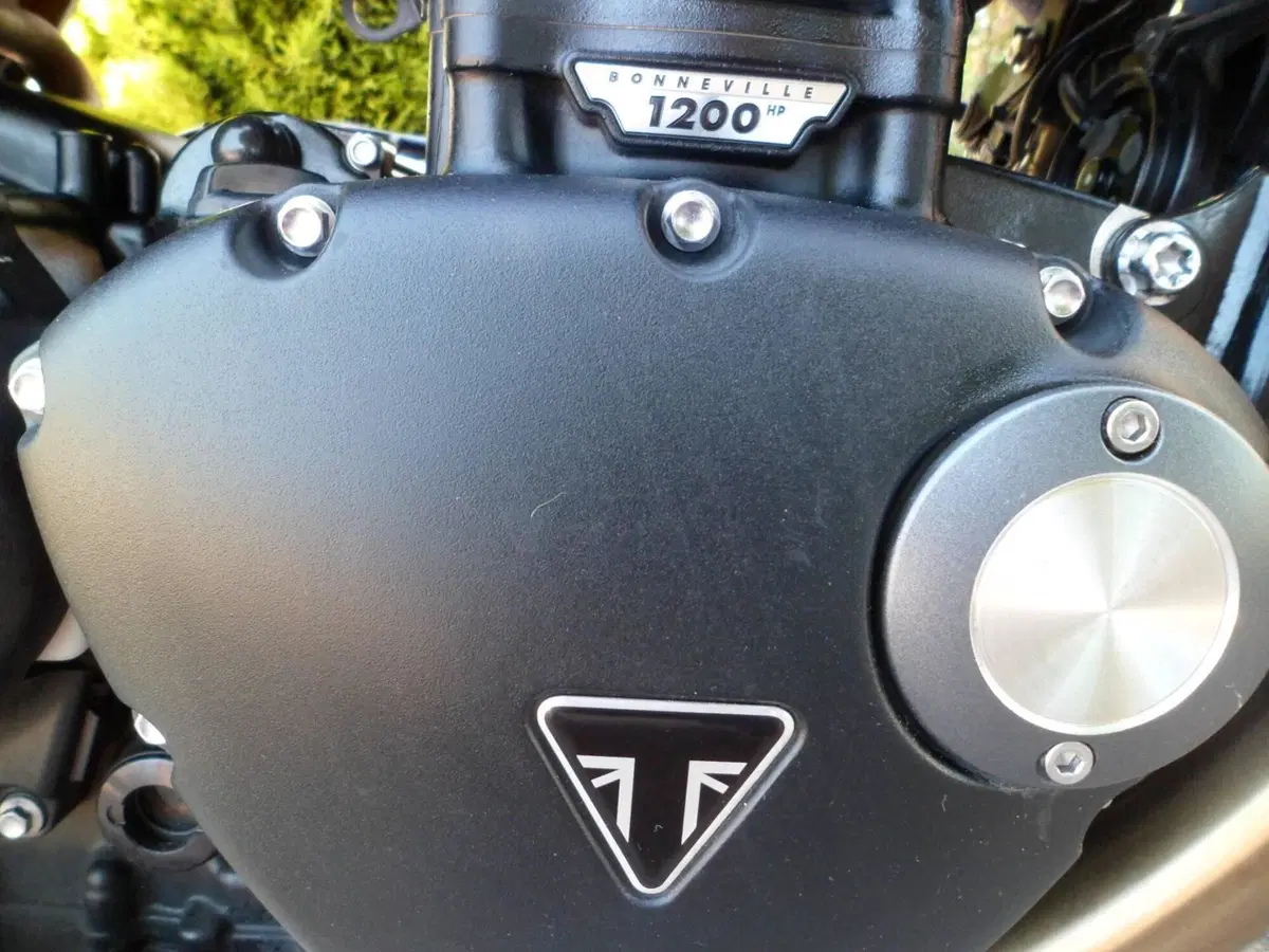 Triumph Speed Twin 1200 (2021 - 24) (13)