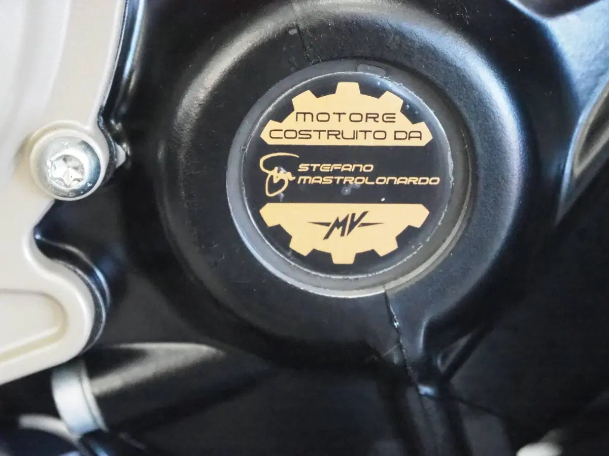 MV Agusta LXP Orioli (2024 - 26) (6)