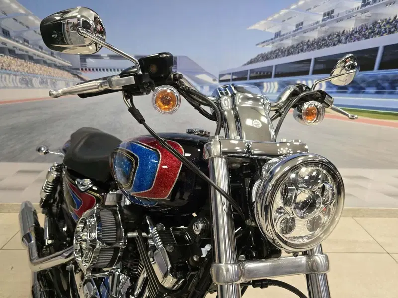 Harley-Davidson 1200 Custom (2004 - 06) - XL 1200C (17)