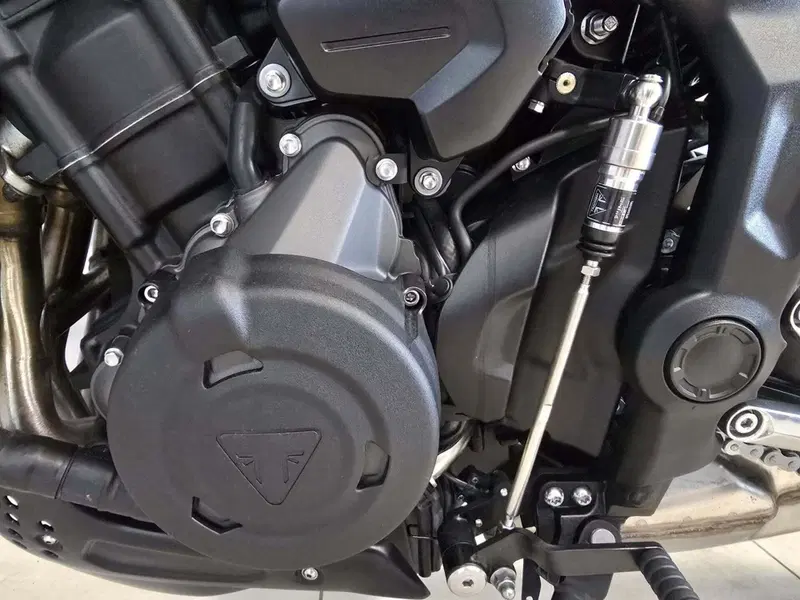 Triumph Trident 660 (2021 - 24) (9)