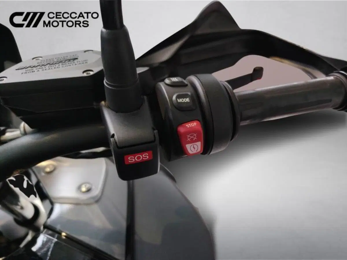 Bmw R 1250 GS Adventure (2021 - 24) (9)