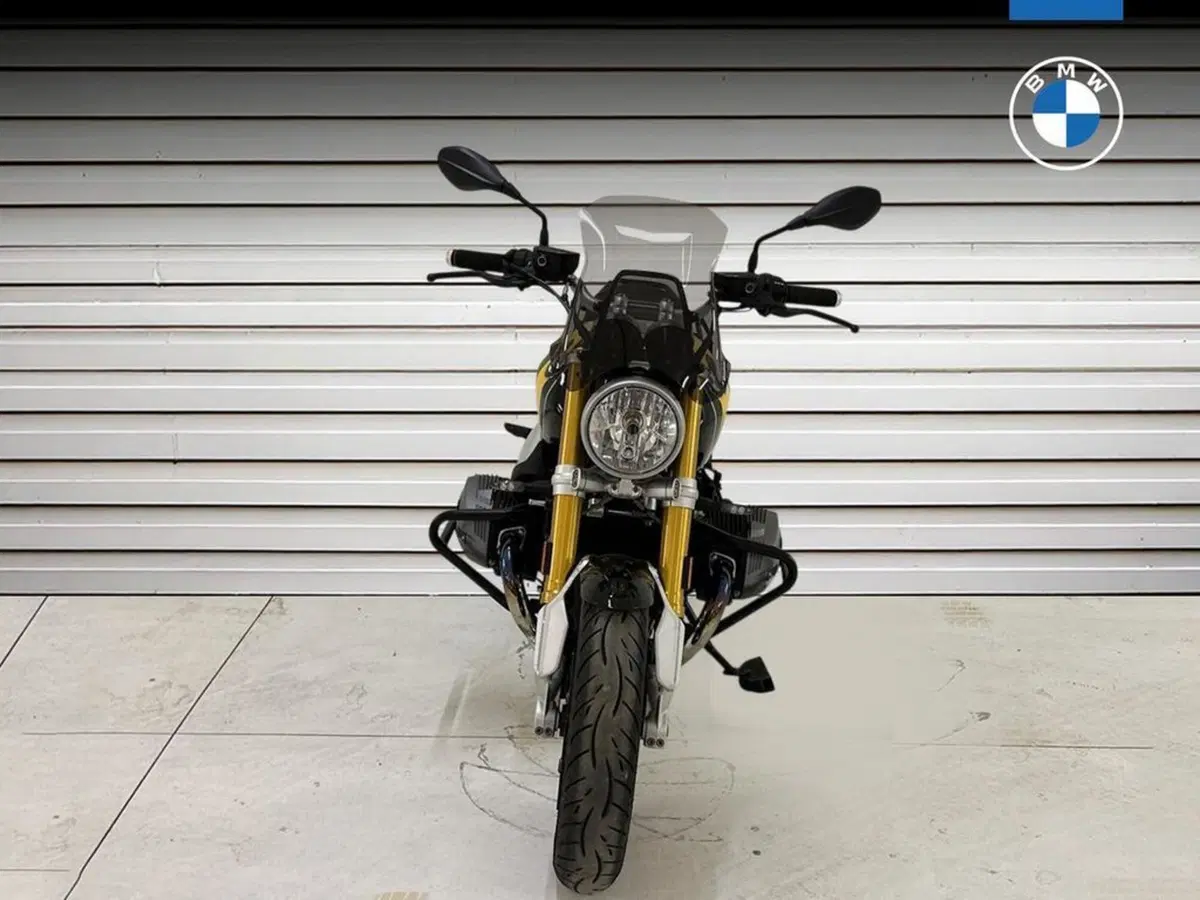 Bmw R nineT 1200 (2017 - 20) (2)