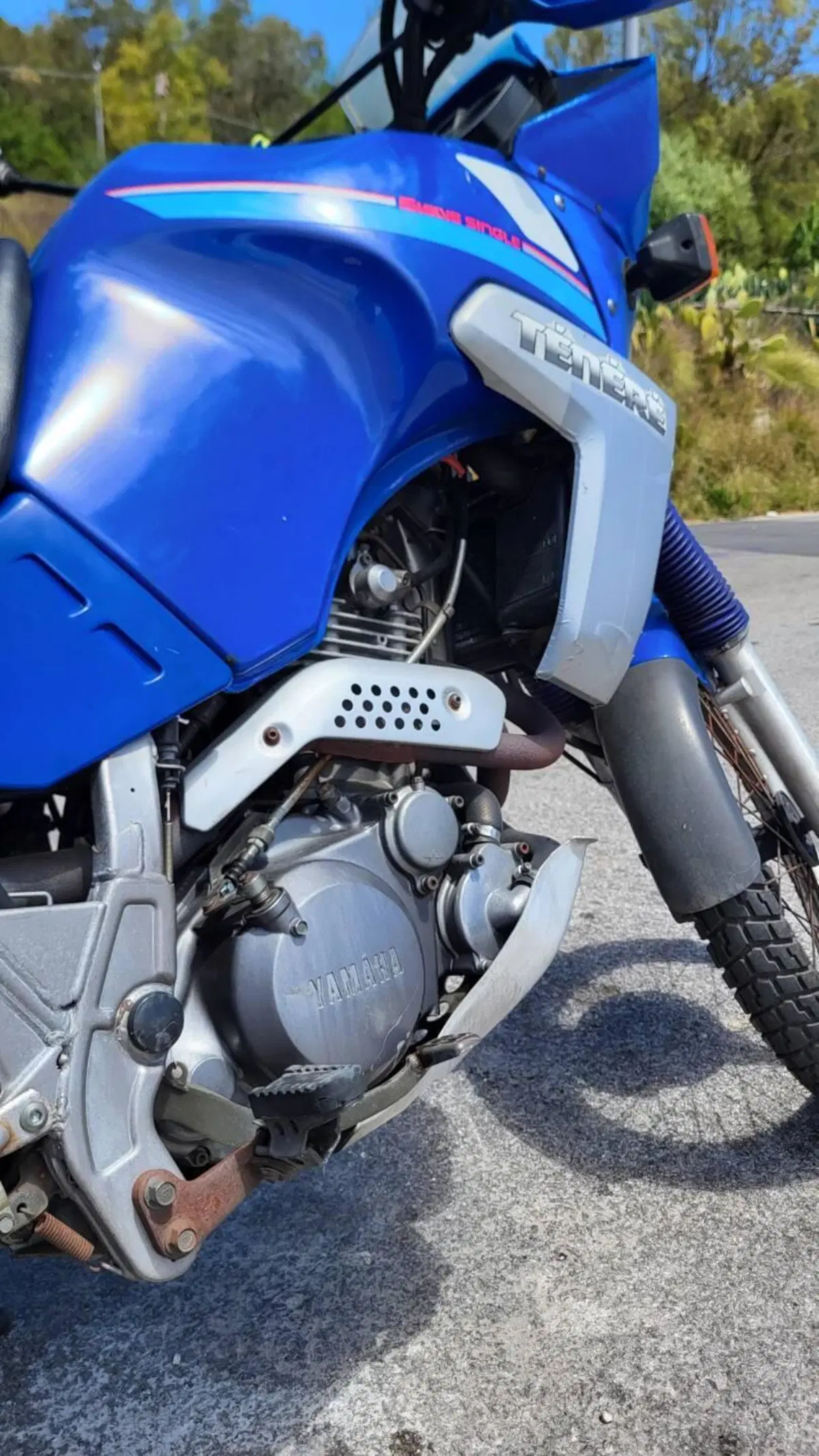 Yamaha XTZ 660 Téneré (1991 - 98) (5)