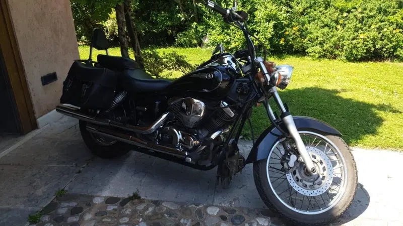 Yamaha XVS 250 Drag Star (5)