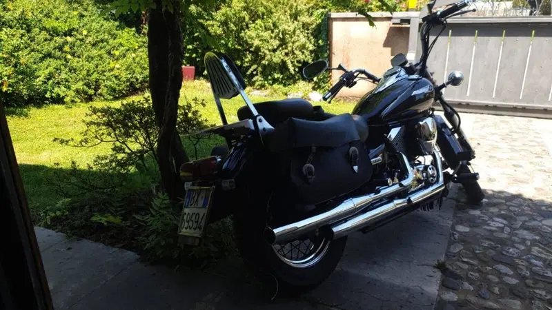 Yamaha XVS 250 Drag Star (6)