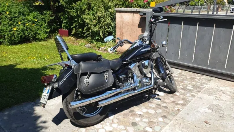 Yamaha XVS 250 Drag Star (7)