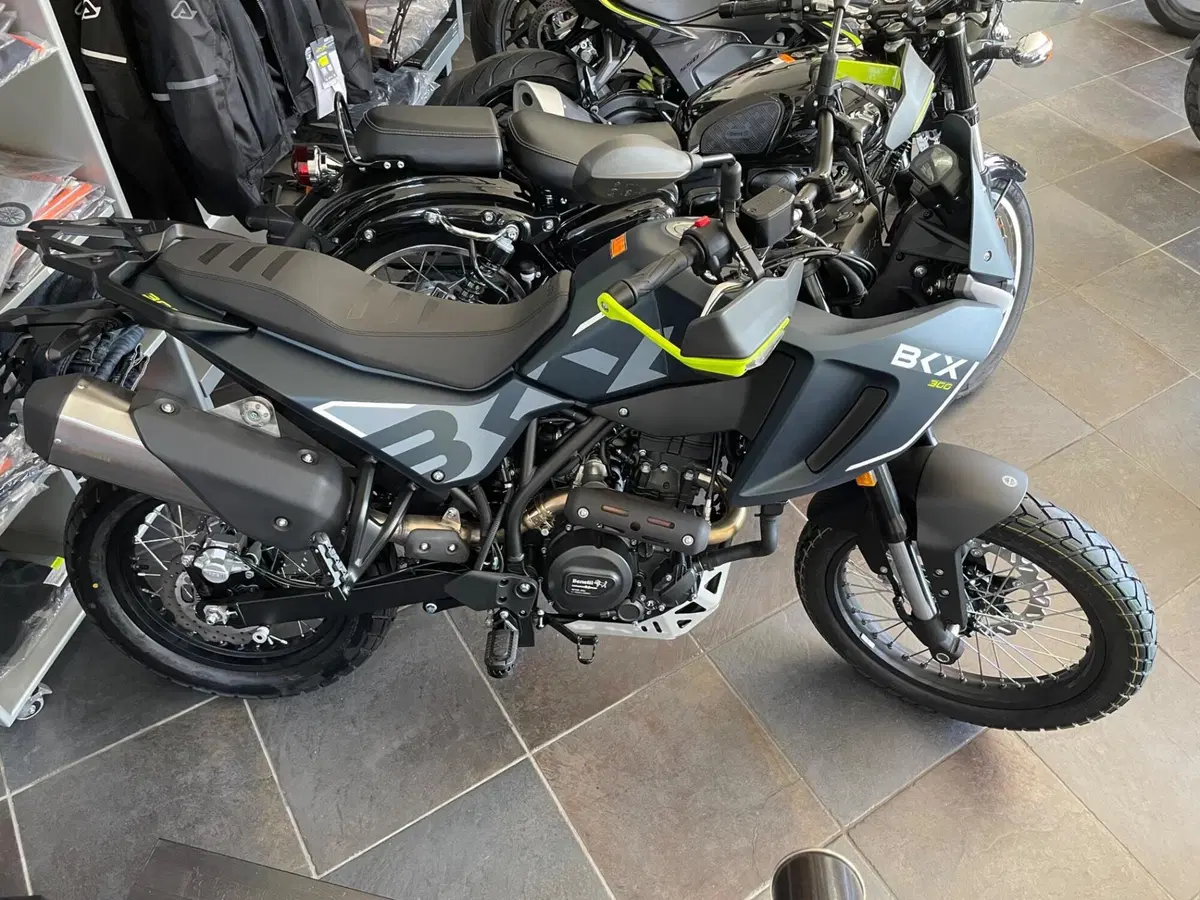 Benelli BKX 300 (2026) (2)