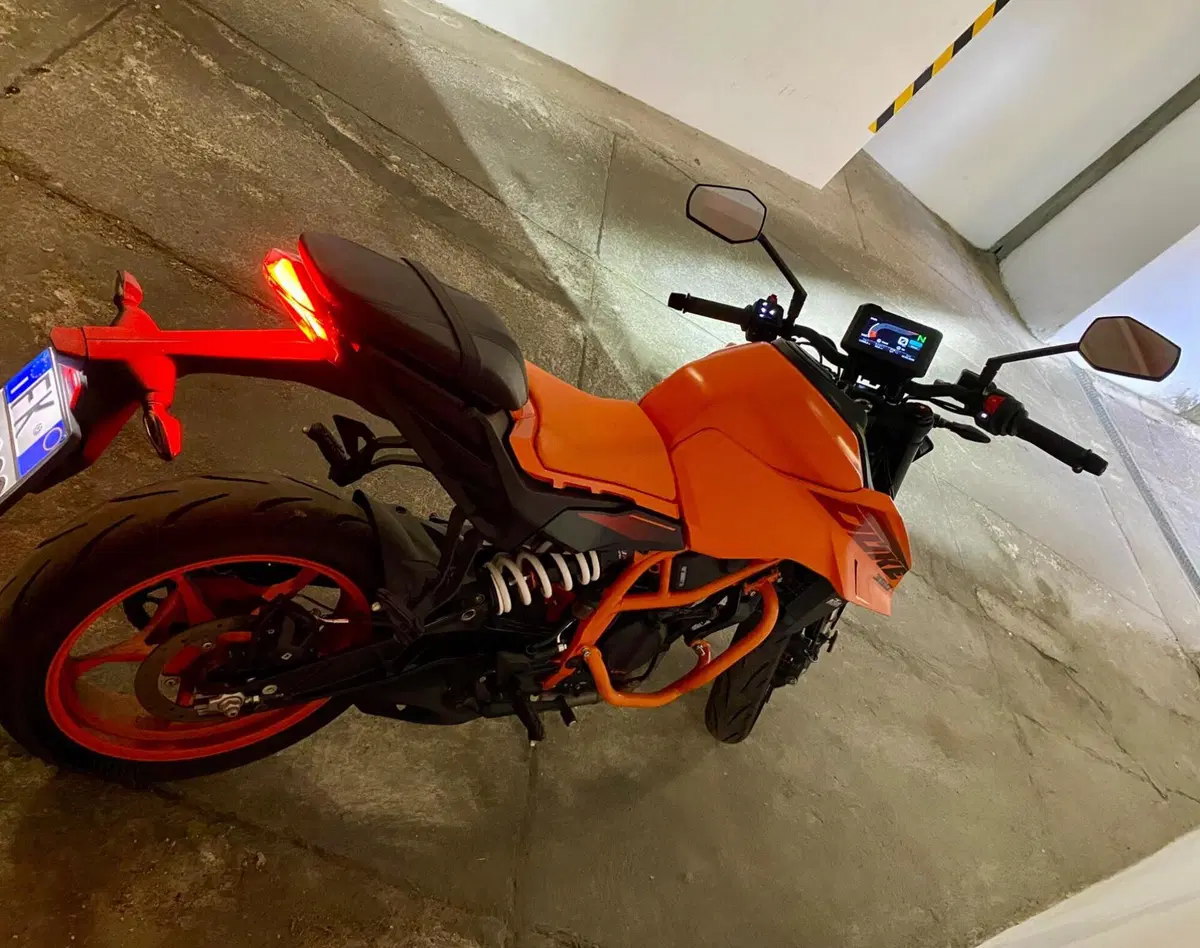 KTM 390 Duke (2024 - 25) (6)