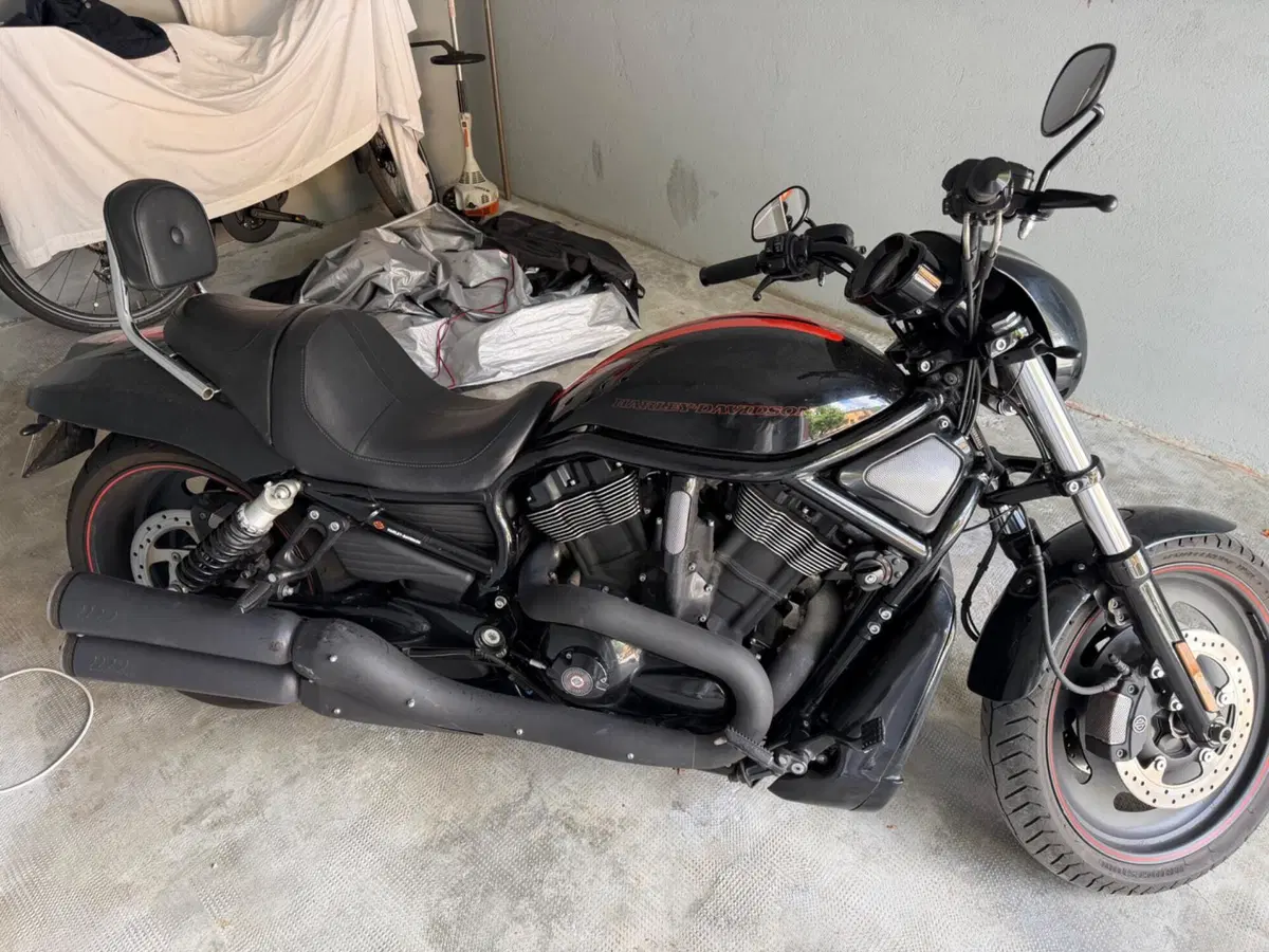 Harley-Davidson 1250 Night Rod Special (2008 - 17) - VRSCDX (7)