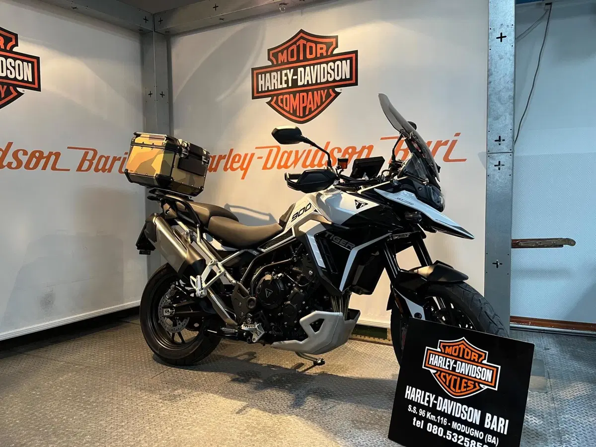 Triumph Tiger 900 GT Pro (2024 - 26)