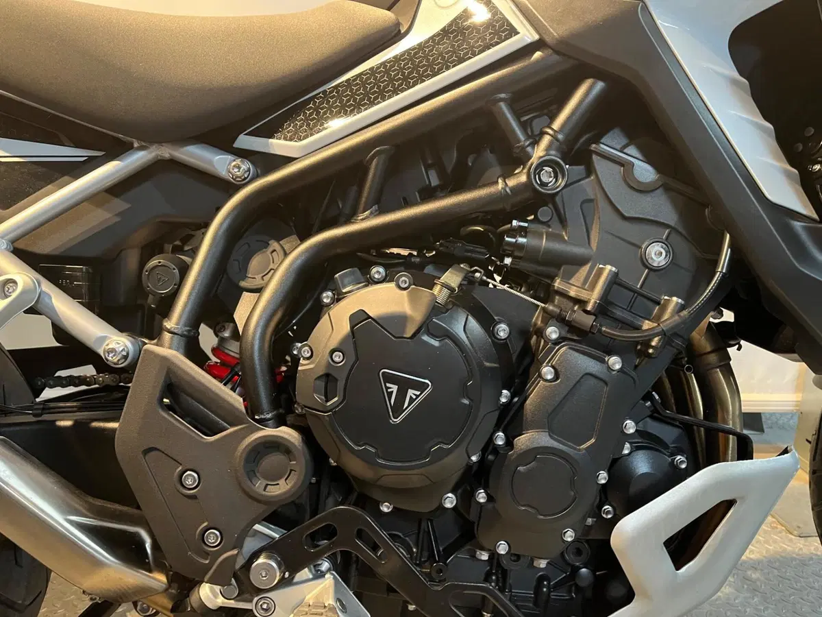 Triumph Tiger 900 GT Pro (2024 - 26) (3)