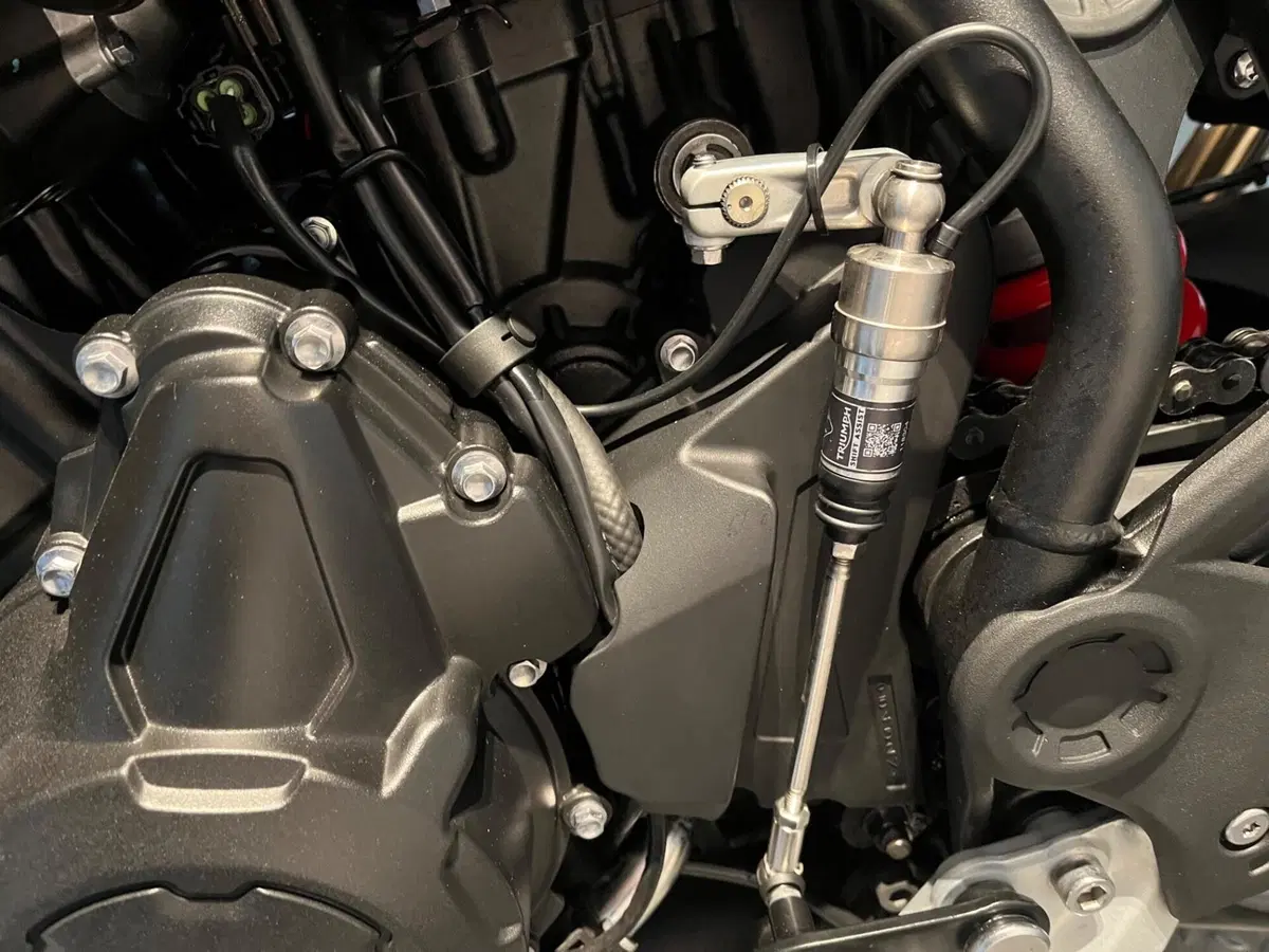 Triumph Tiger 900 GT Pro (2024 - 26) (6)