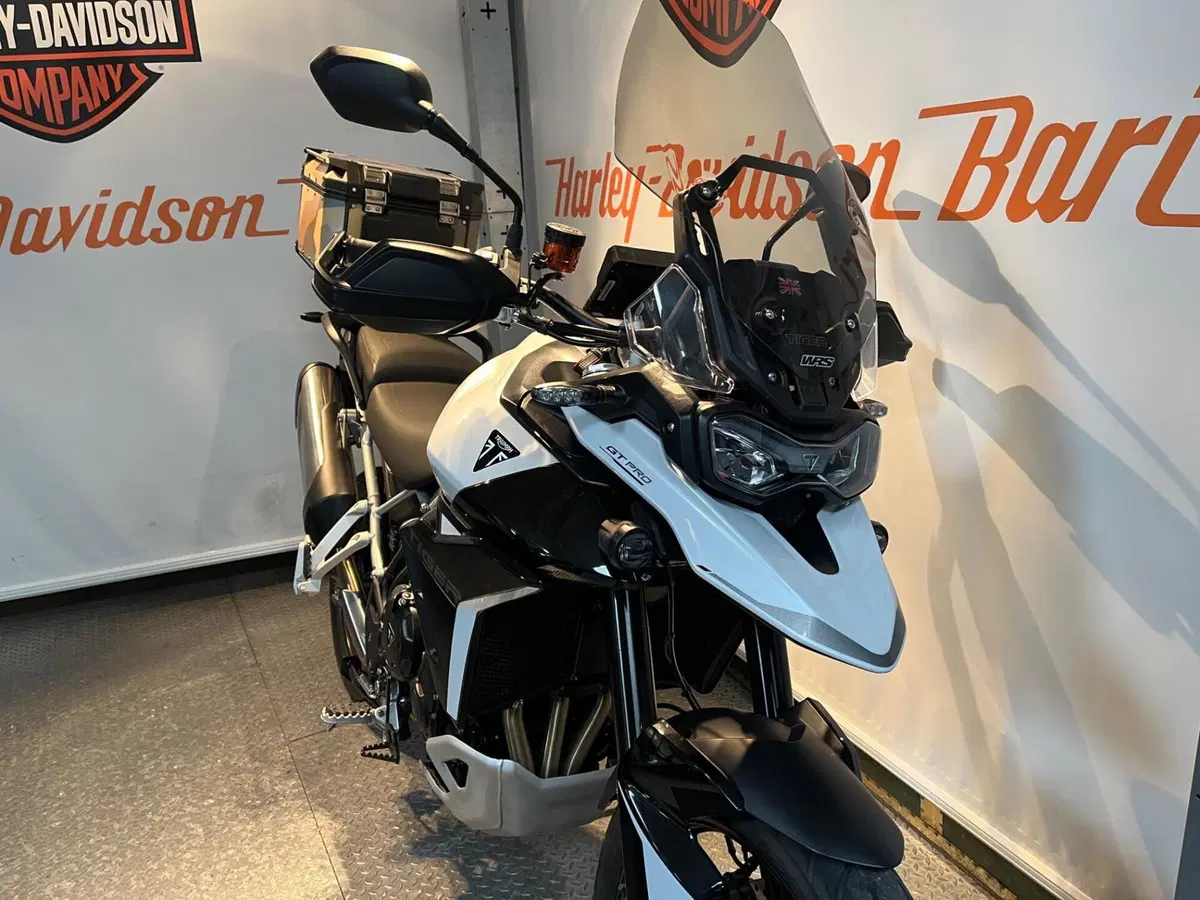 Triumph Tiger 900 GT Pro (2024 - 26) (8)
