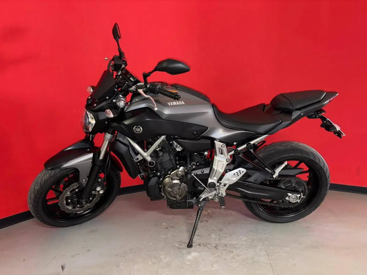 Yamaha MT-07 (2014 - 16) (3)
