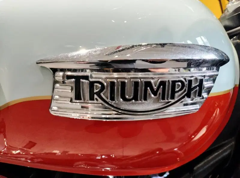 Triumph Bonneville T100 50th Anniversary (2009) (2)