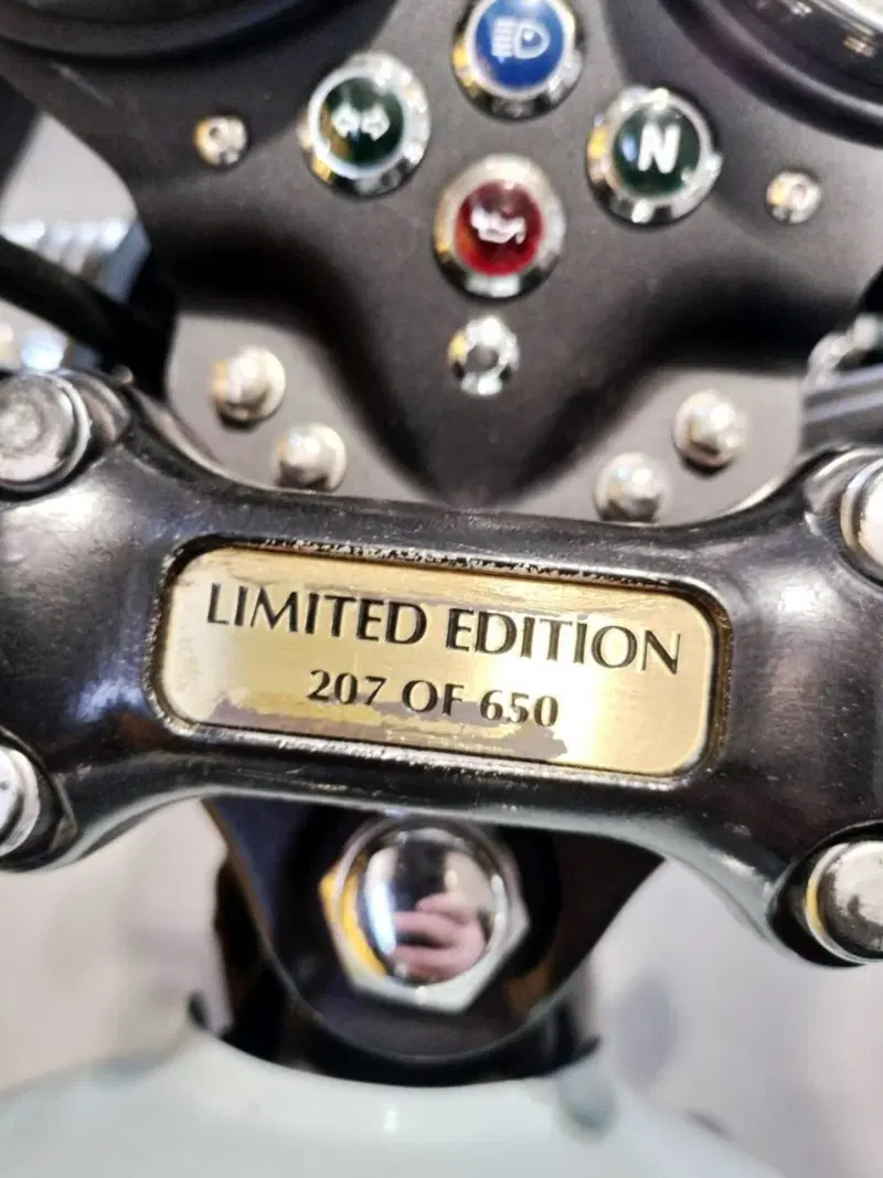 Triumph Bonneville T100 50th Anniversary (2009) (3)