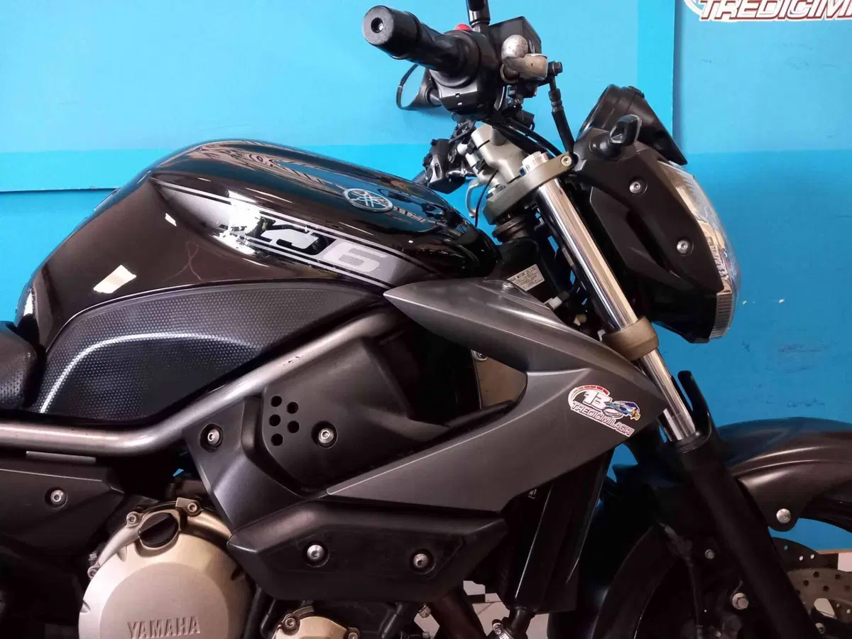 Yamaha XJ6 (2008 - 15) (11)
