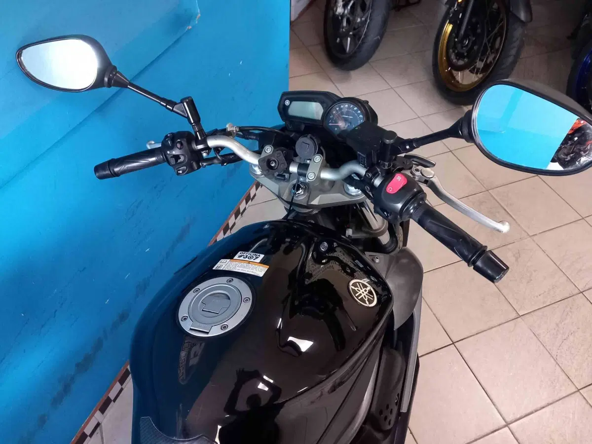 Yamaha XJ6 (2008 - 15) (13)