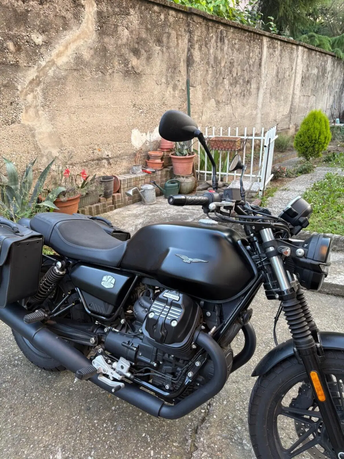 Moto Guzzi V7 Special (2021 - 24) (5)