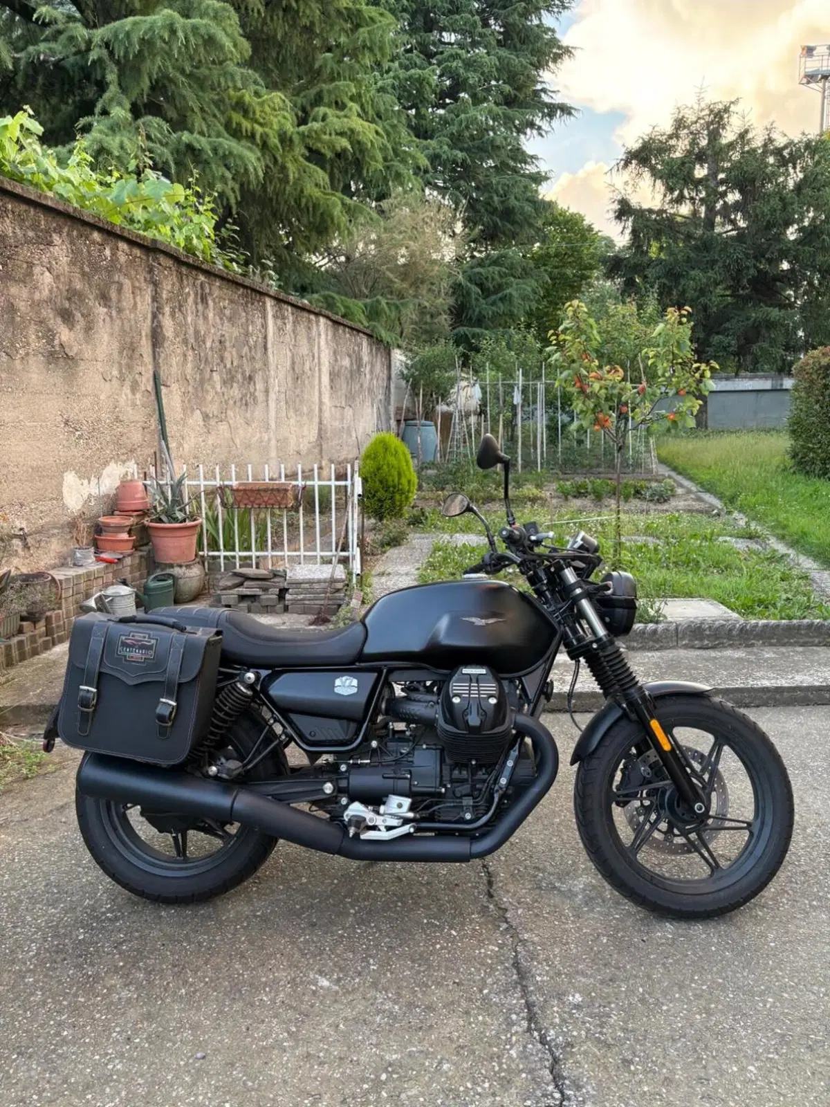 Moto Guzzi V7 Special (2021 - 24) (6)