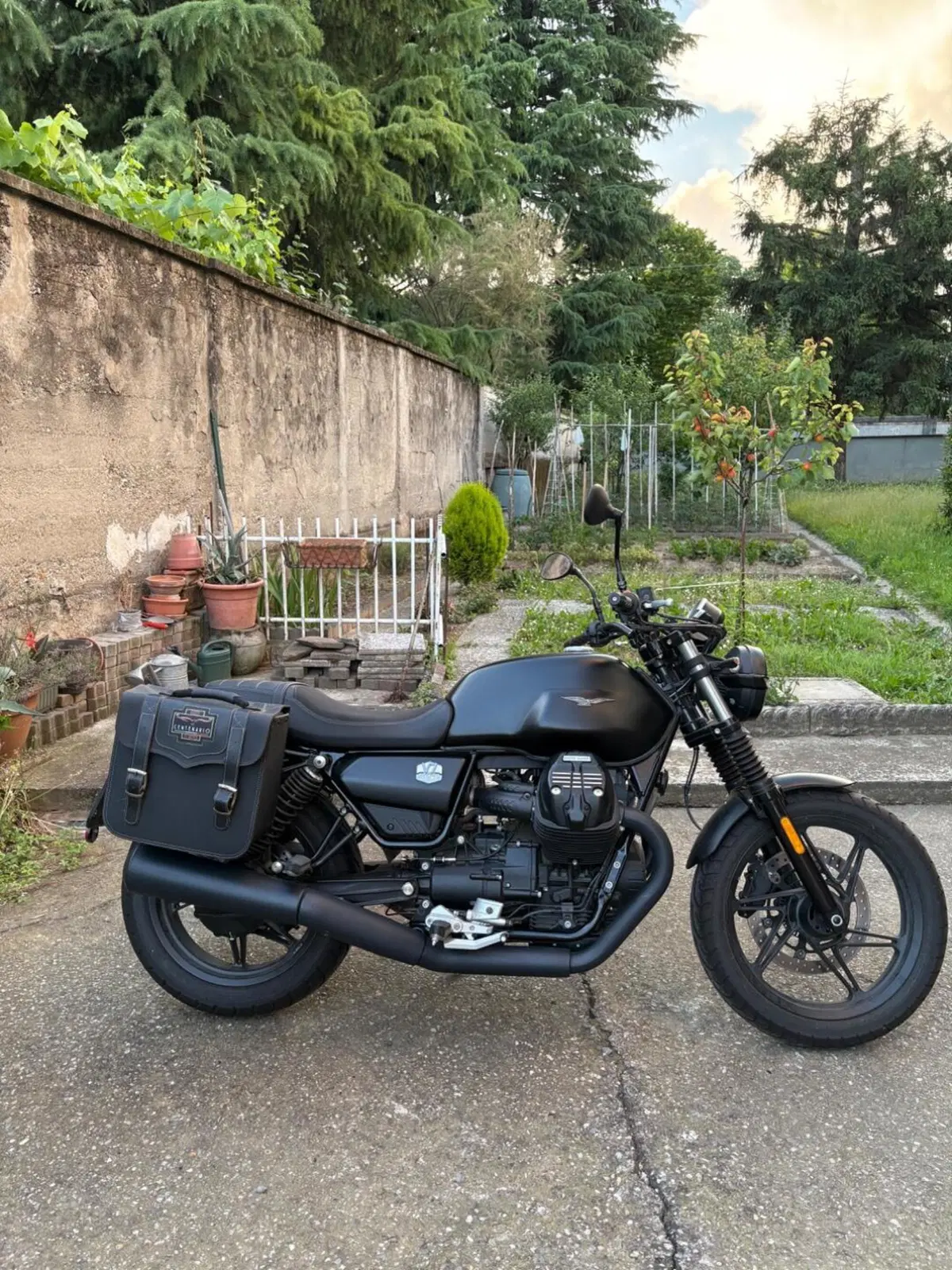 Moto Guzzi V7 Special (2021 - 24) (2)