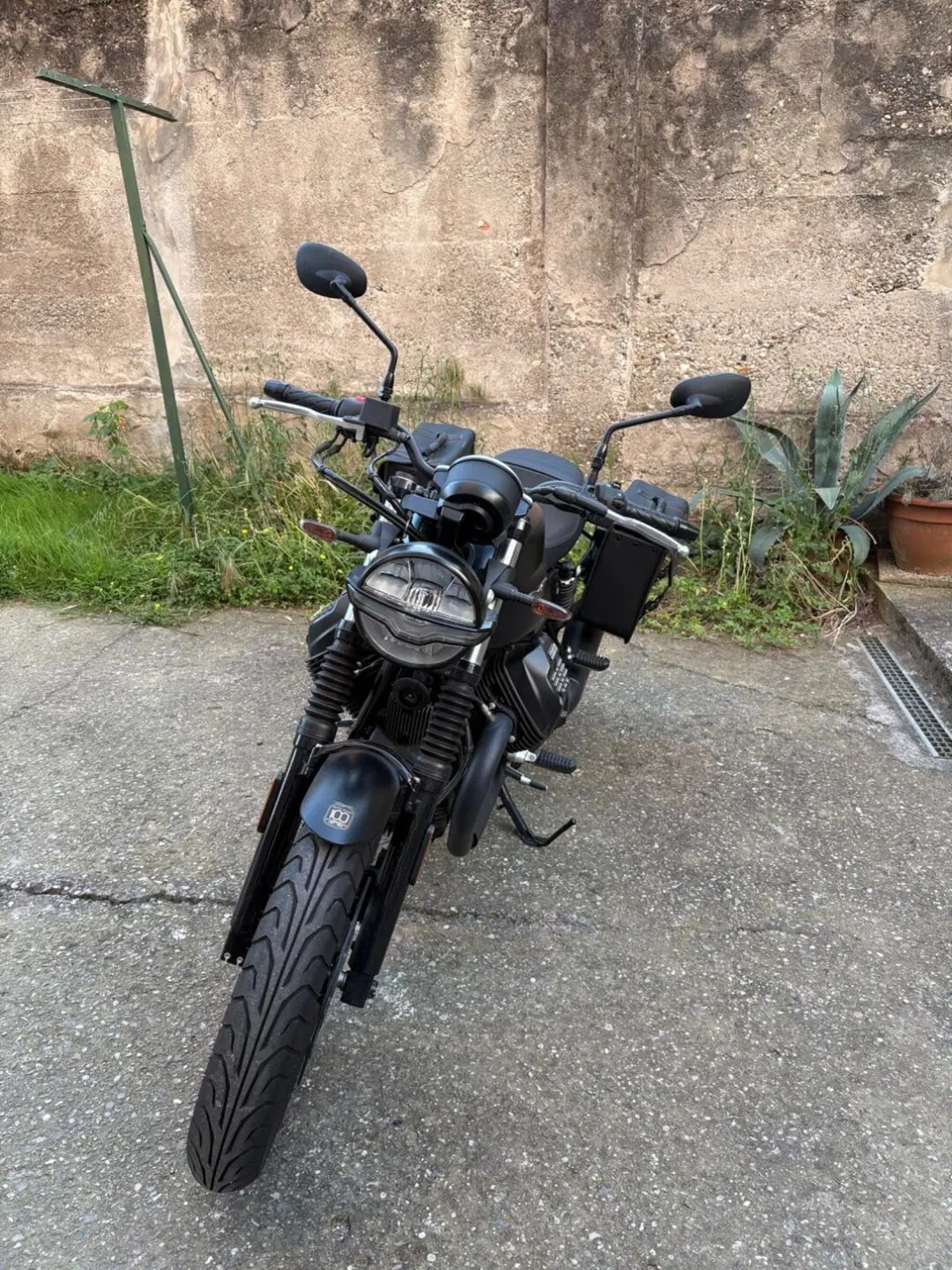 Moto Guzzi V7 Special (2021 - 24)