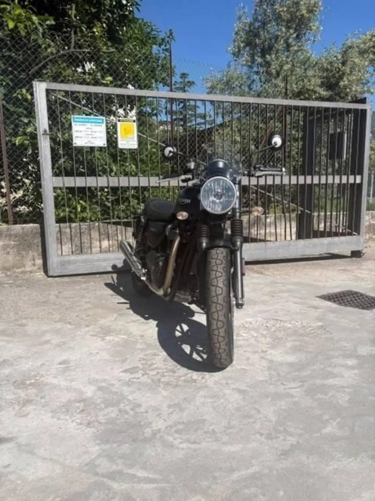 Triumph Street Twin 900 (2016) (3)