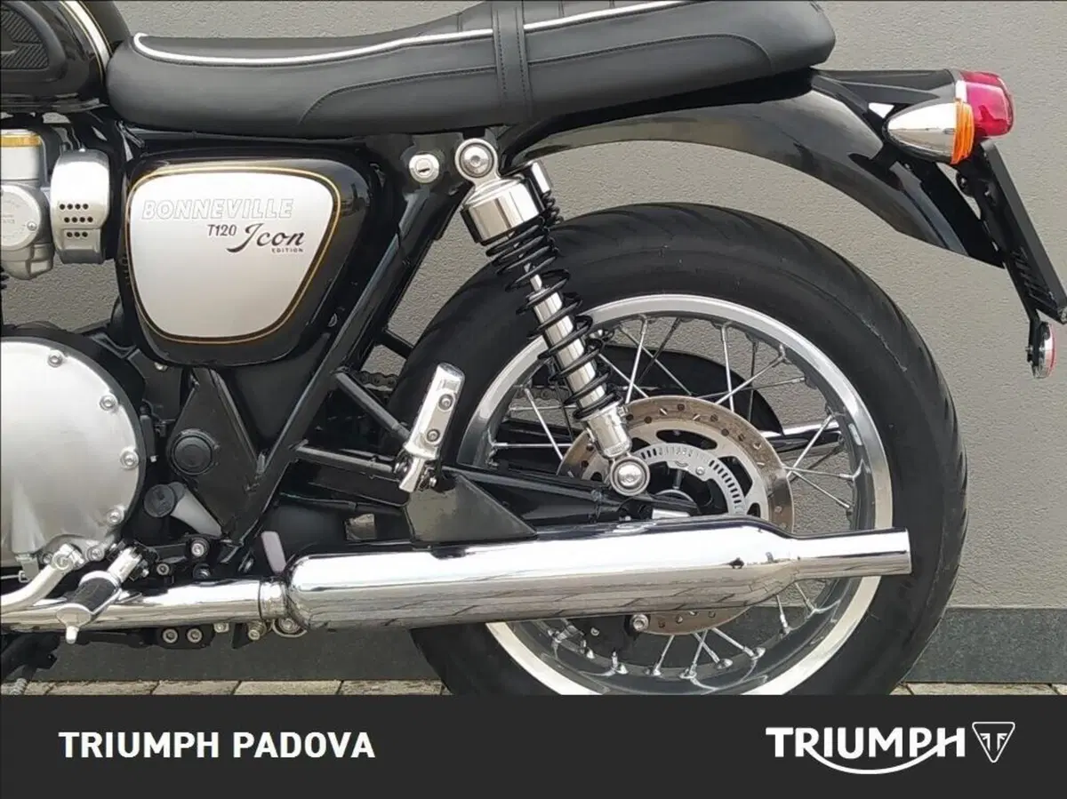 Triumph Bonneville T120 Icon Edition (2025 - 26) (7)