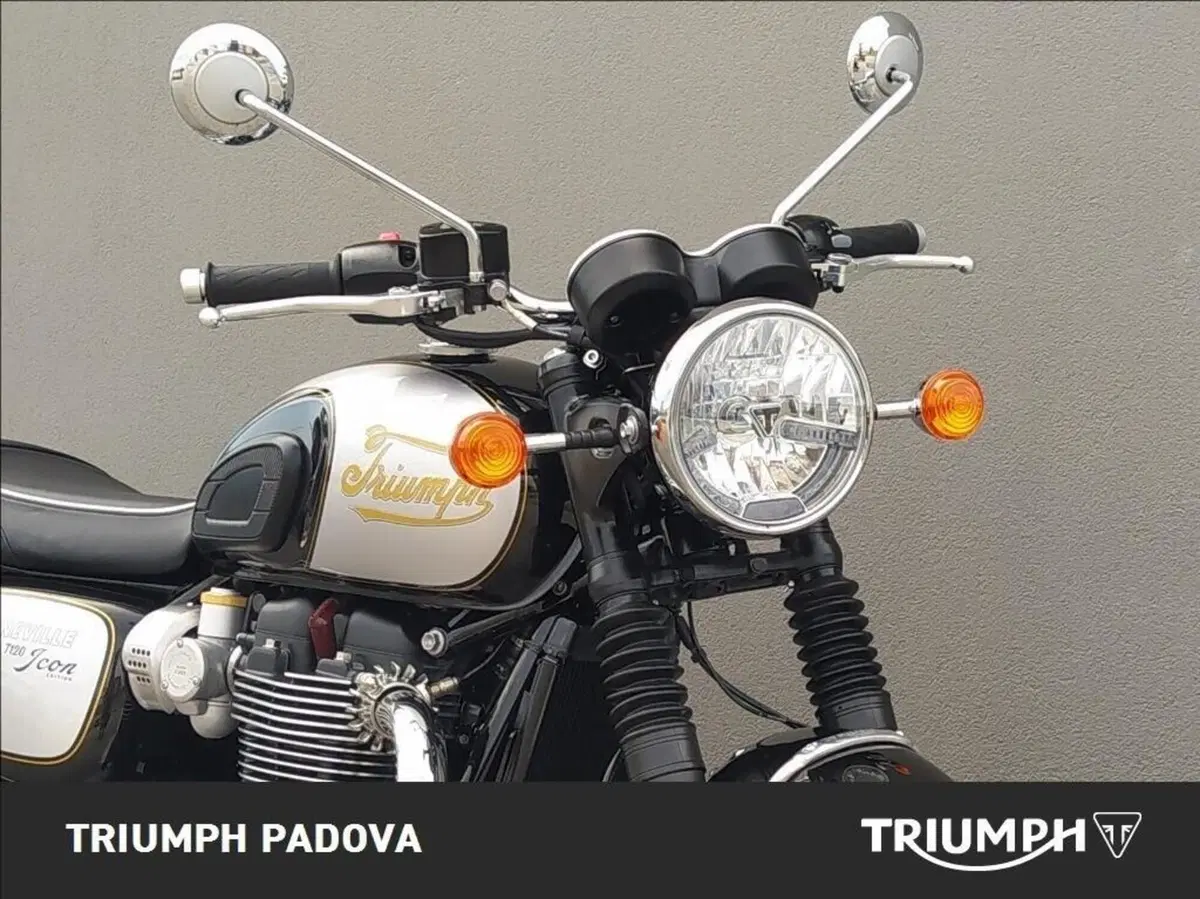 Triumph Bonneville T120 Icon Edition (2025 - 26) (5)