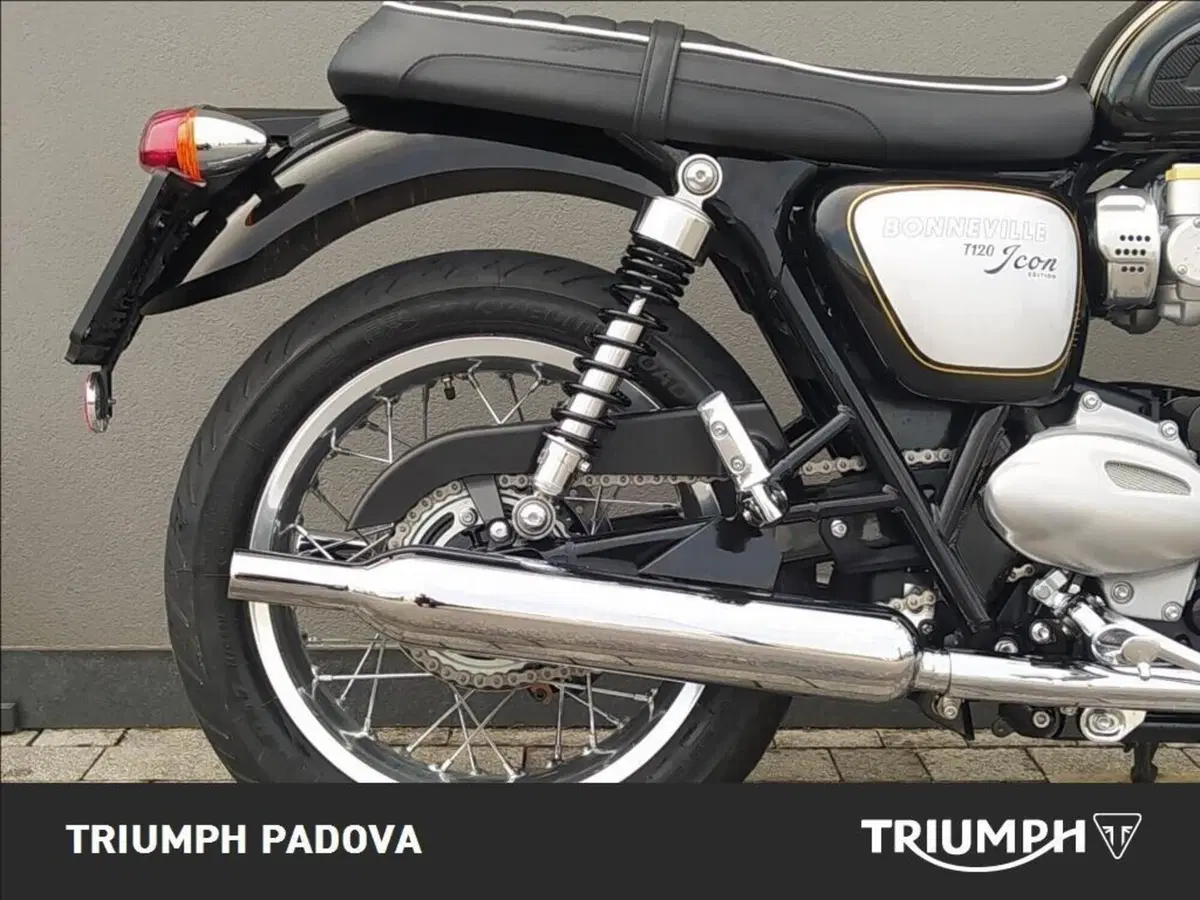 Triumph Bonneville T120 Icon Edition (2025 - 26) (2)