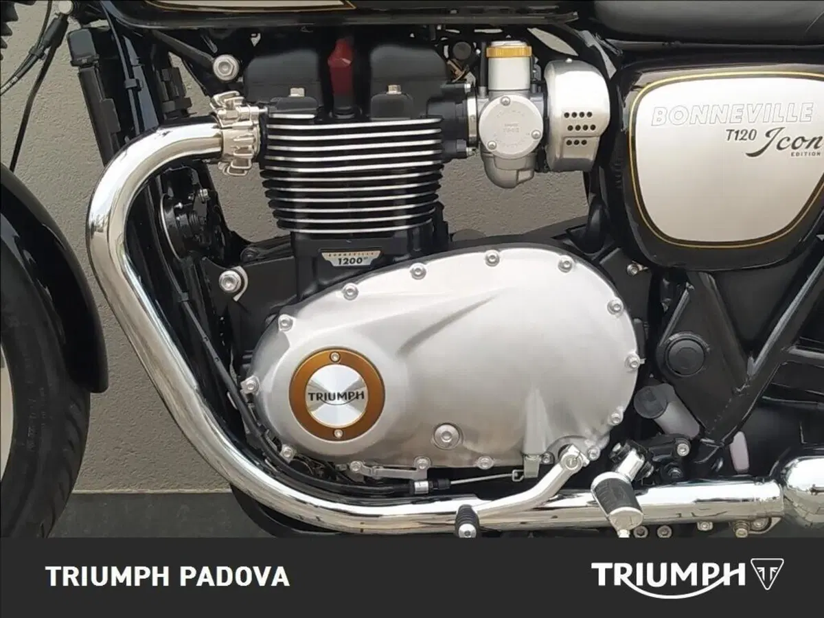 Triumph Bonneville T120 Icon Edition (2025 - 26) (8)