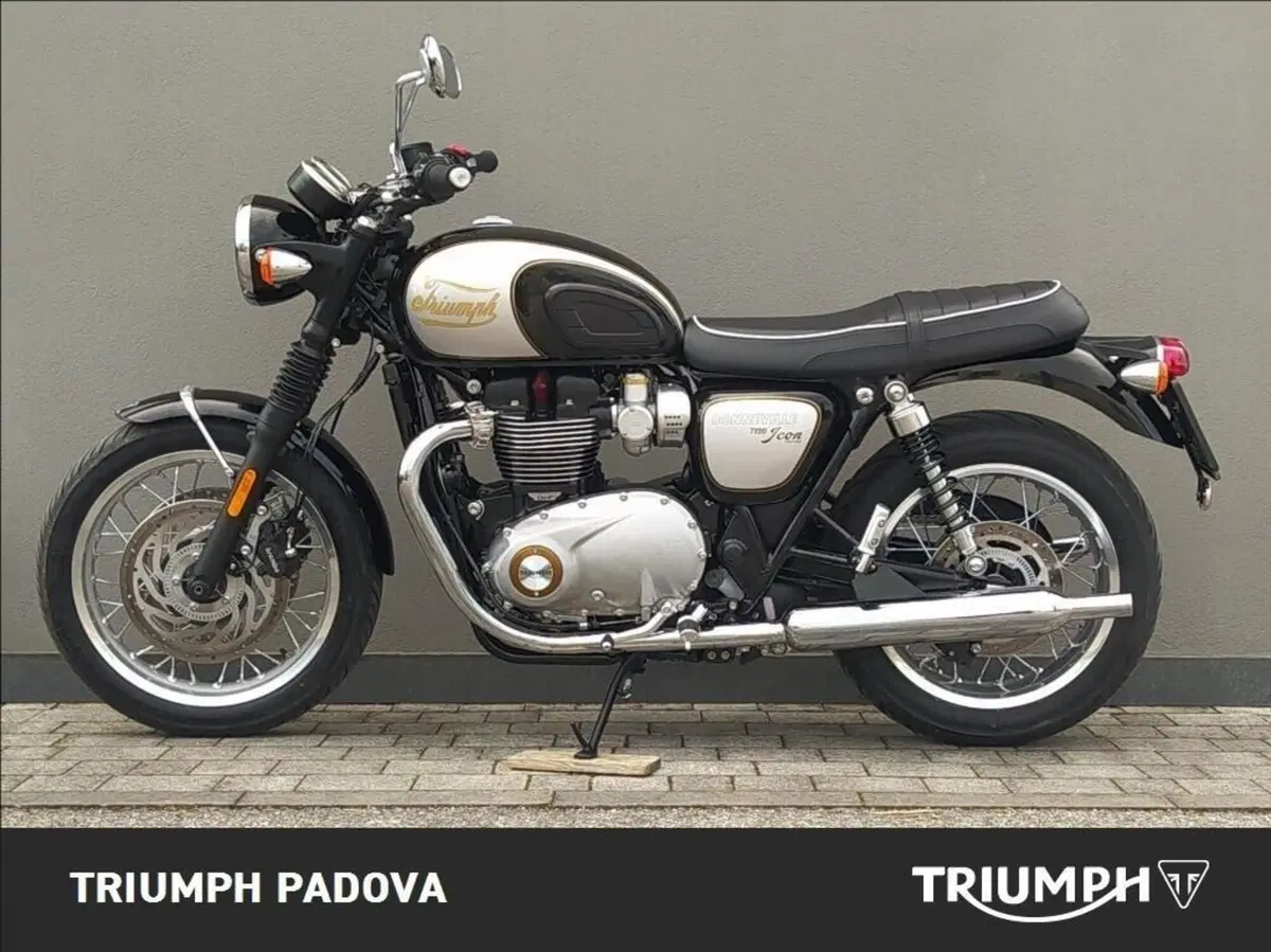 Triumph Bonneville T120 Icon Edition (2025 - 26) (6)