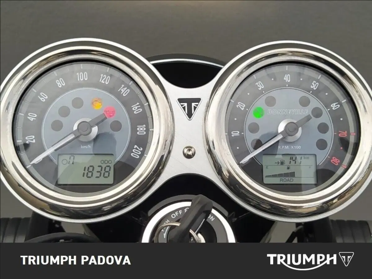 Triumph Bonneville T120 Icon Edition (2025 - 26) (13)