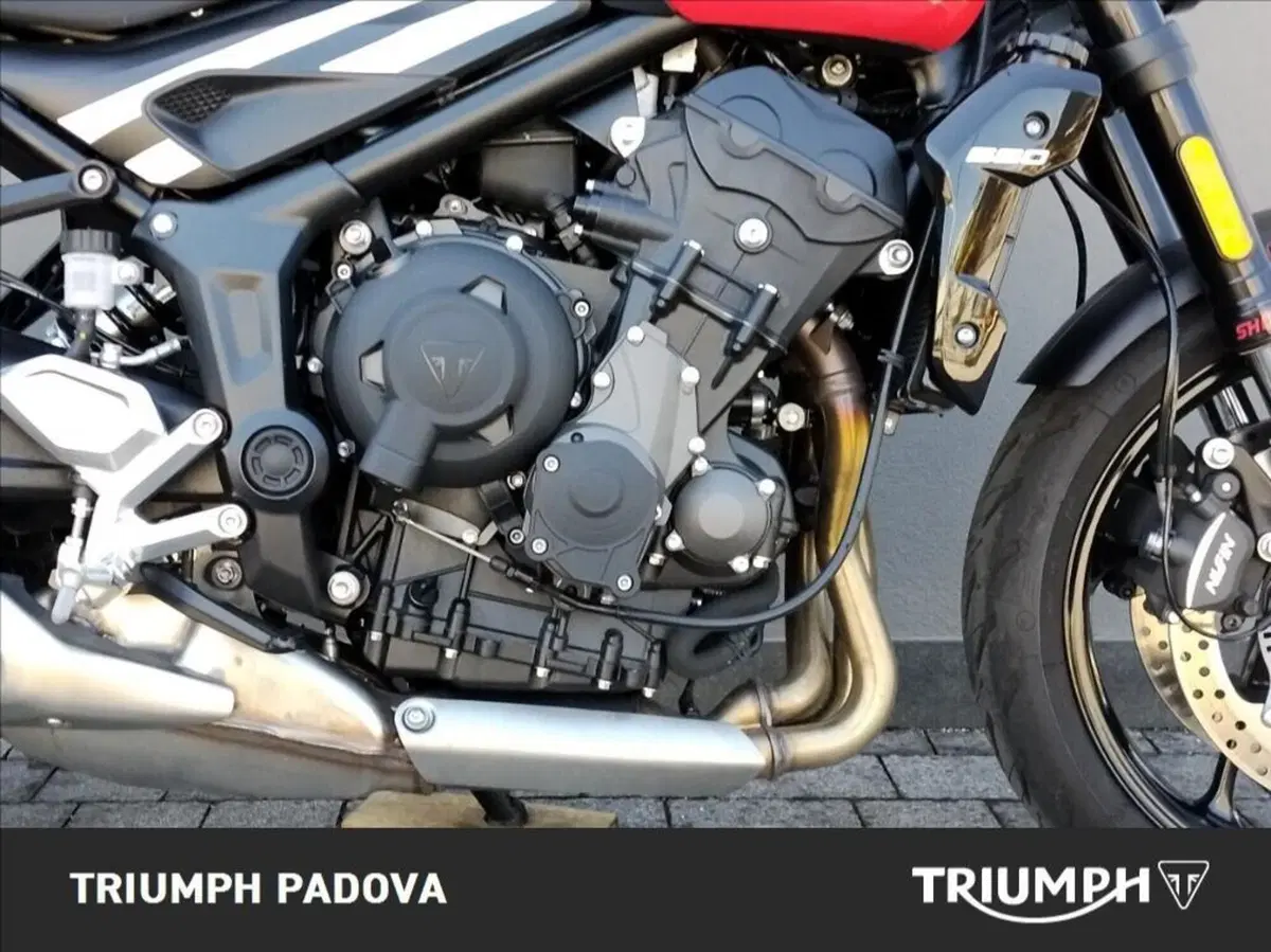 Triumph Trident 660 (2025) (3)