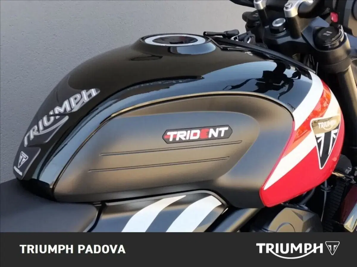 Triumph Trident 660 (2025) (4)