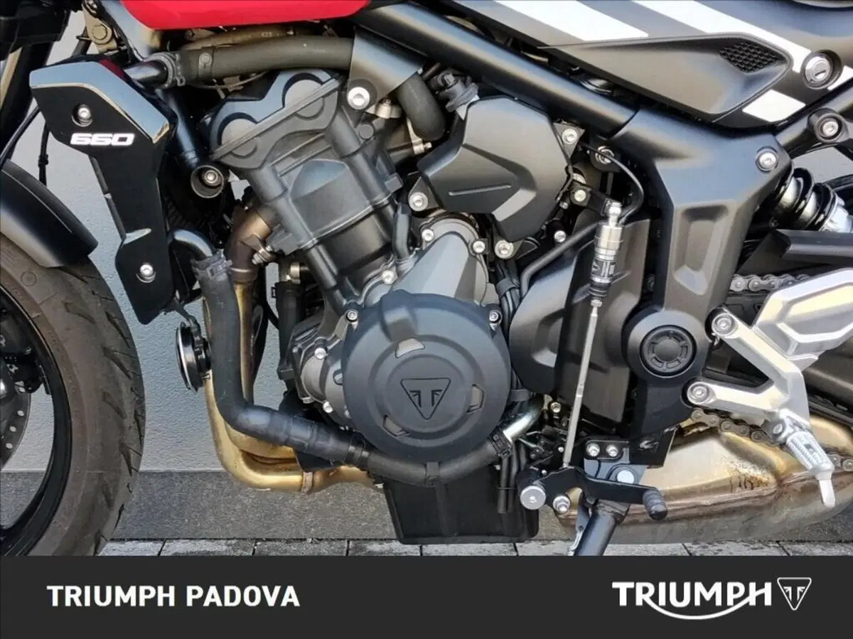 Triumph Trident 660 (2025) (8)