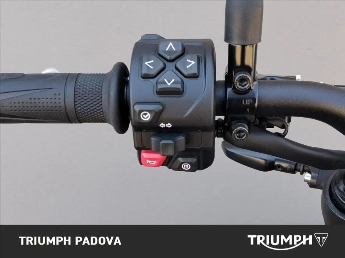 Triumph Trident 660 (2025) (12)