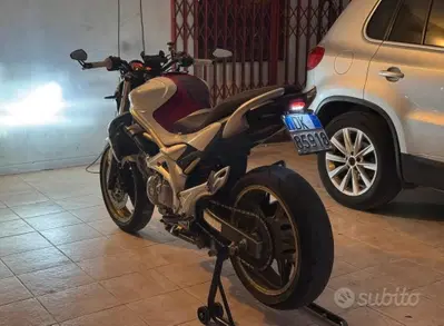 Suzuki Gladius 650 SFV (2009 - 15) usata