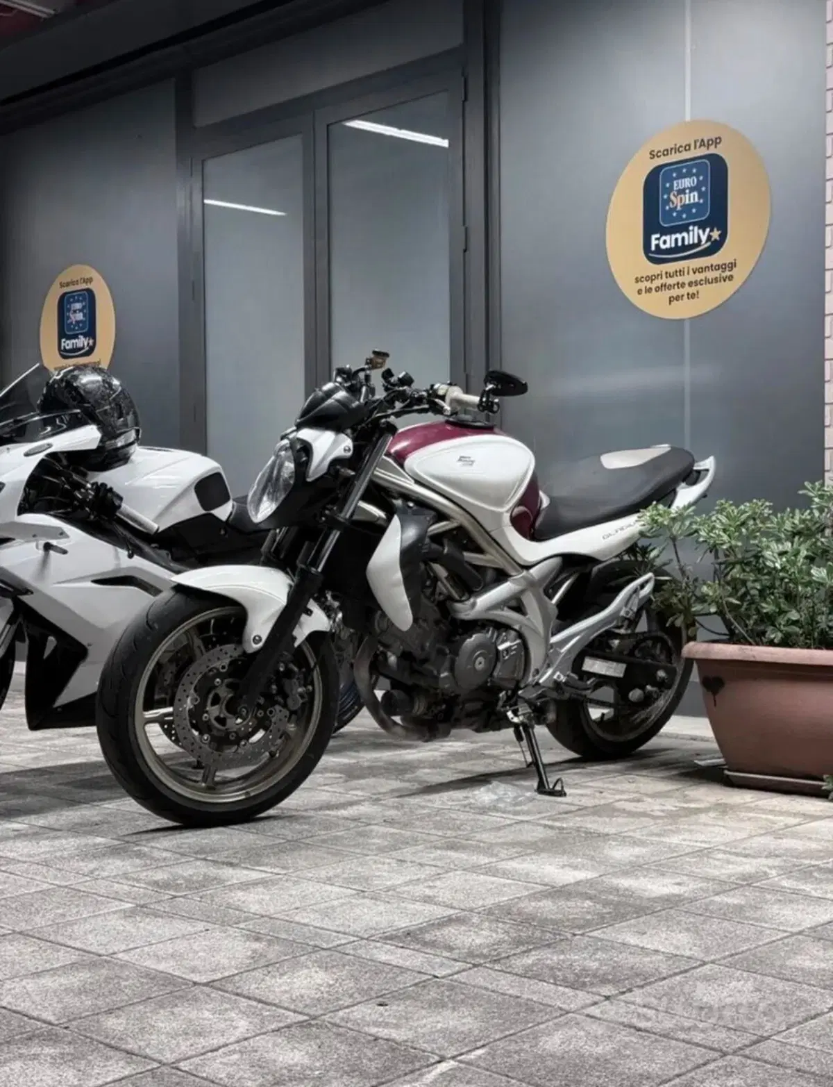 Suzuki Gladius 650 SFV (2009 - 15) (3)