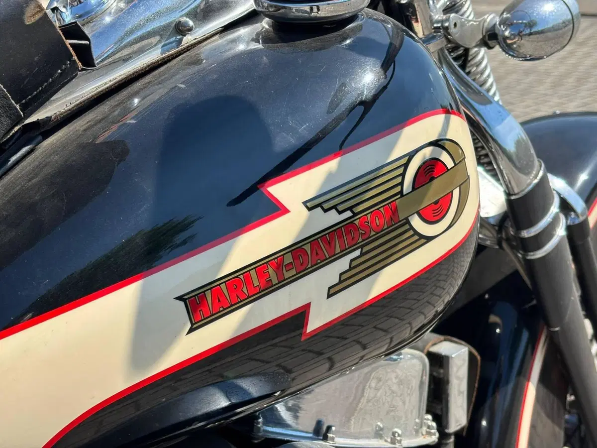 Harley-Davidson 1340 Springer (1990 - 98) - FXSTS (6)
