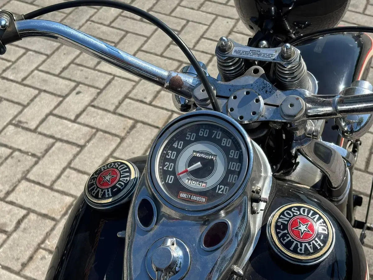 Harley-Davidson 1340 Springer (1990 - 98) - FXSTS (7)