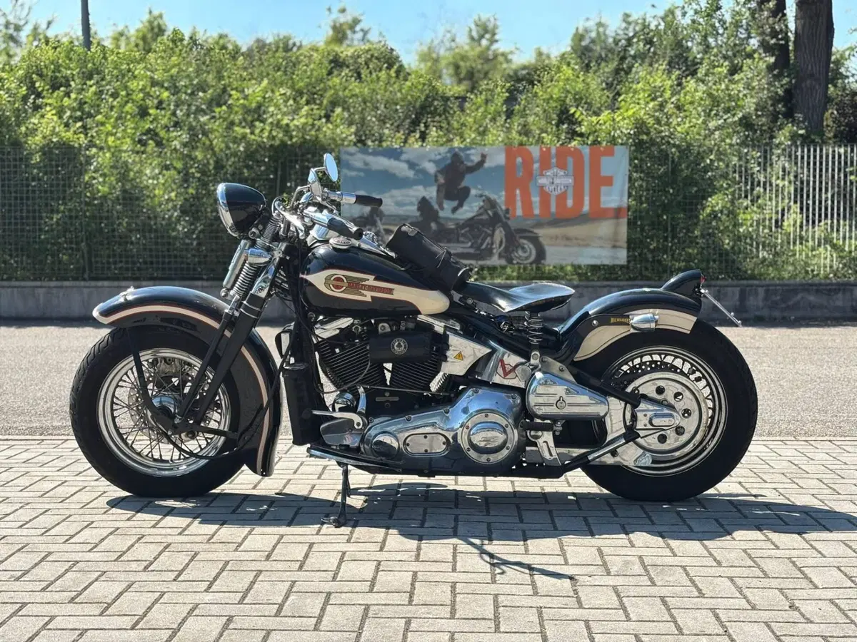 Harley-Davidson 1340 Springer (1990 - 98) - FXSTS (2)